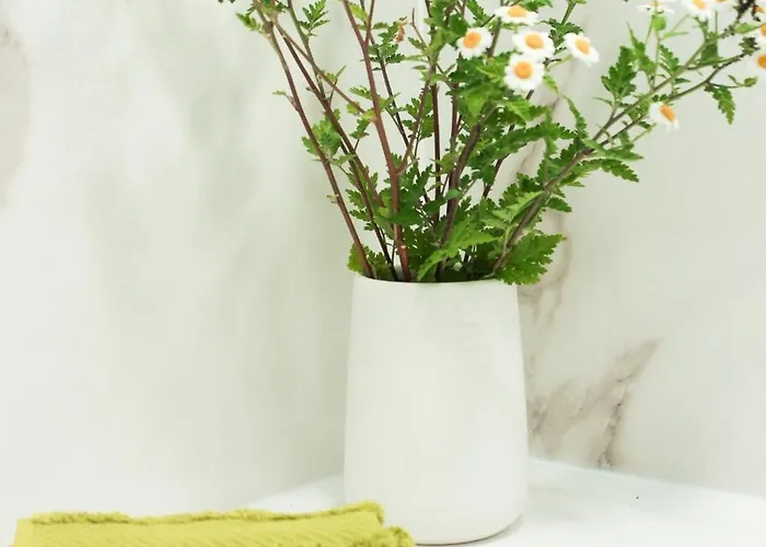 Monte Do Couto Aldeamento Turístico